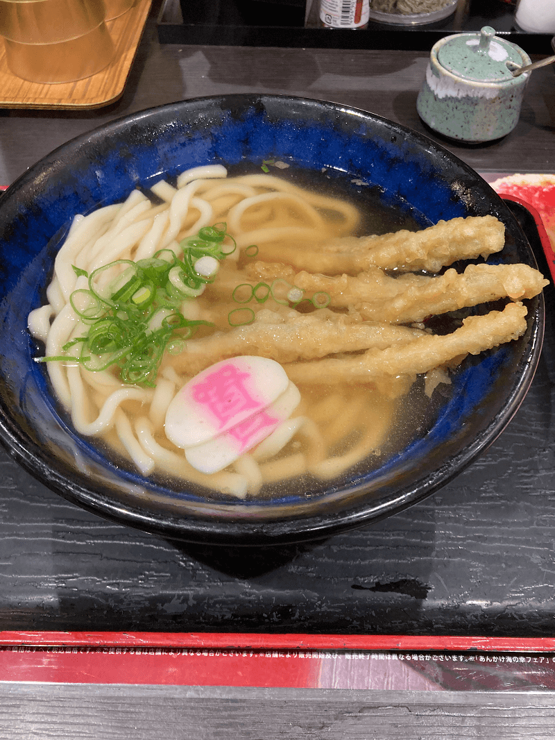資さんうどんのごぼ天うどん