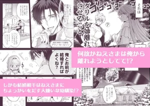 泣き虫怪物の愛しかた　raw　hitomi　無料　読む　リスク　最安値　お得　読める　サイト　紹介　読めるサイト　お得に