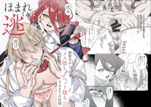 TL漫画　ほまれくんは逃げられない～御曹司がメス堕ちからのペット堕ちするまでの記録～ raw hitomi 無料 読む リスク 最安値 お得 読める サイト 紹介　TL 無料読み　無料で読める