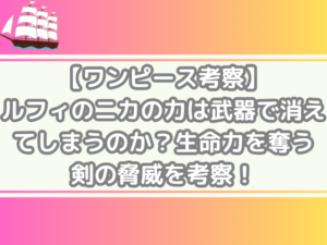 ワンピース　考察　ルフィ　ニカ　力　武器　消えてしまう　生命力　奪う剣　脅威　考察　onepiece