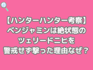 ハンターハンター 考察 ベンジャミン なぜ 絶状態 ツェリードニヒ 警戒せず 撃った なぜ　hunter×hunter h×h